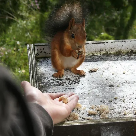 Kvitavatn Fjellstue Hostel *