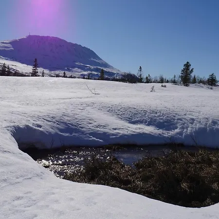Hostel Kvitavatn Fjellstue *