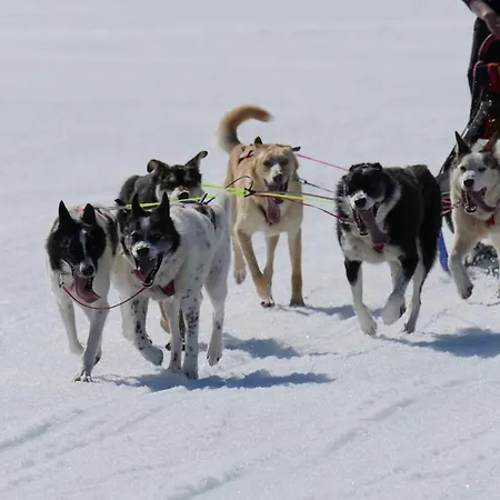 Hostel Kvitavatn Fjellstue