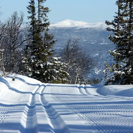 Hostal Kvitavatn Fjellstue *