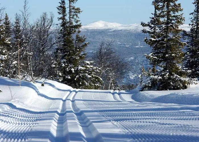 אכסניה Kvitavatn Fjellstue *